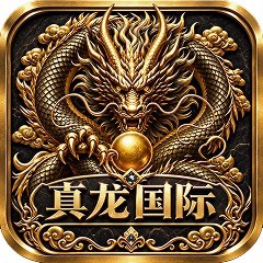 真龙国际